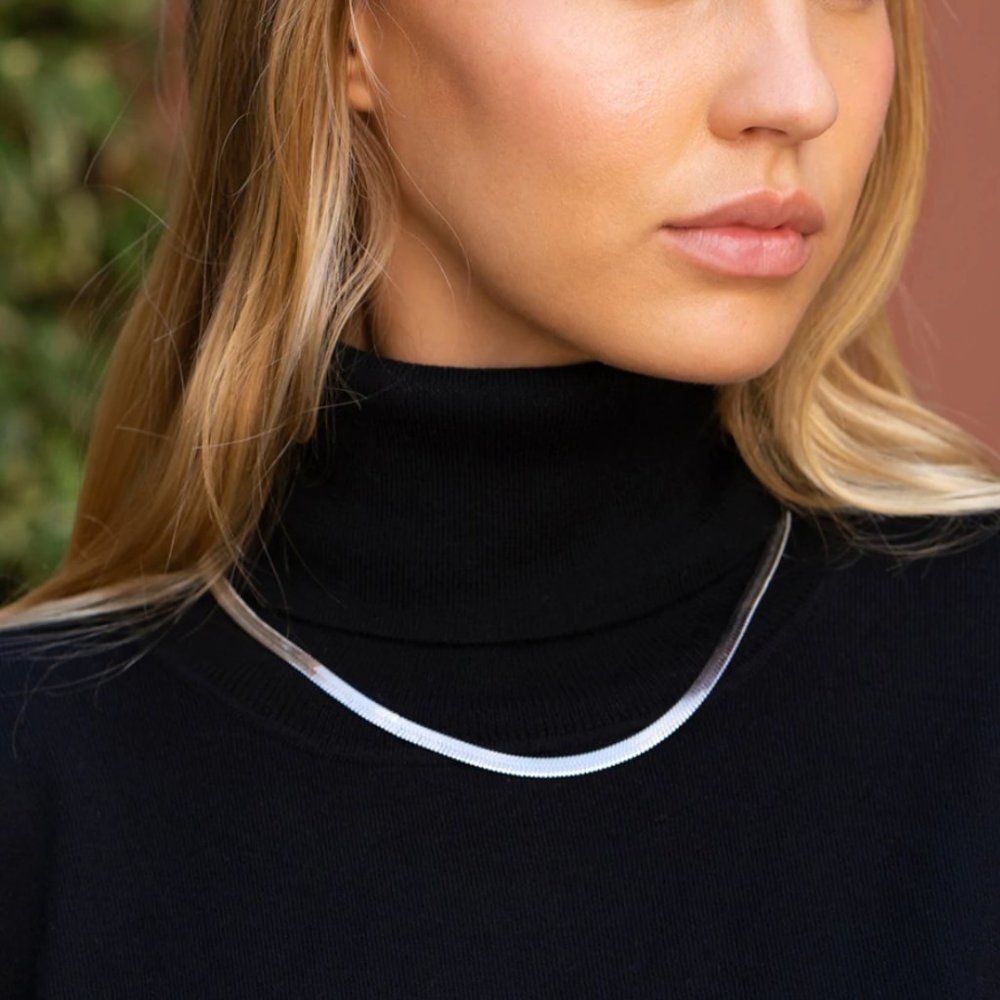 NWOT Jennifer Zeuner Allie Necklace in Silver Princess Collar Herringbone Chain